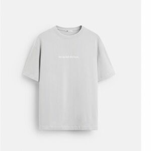 Zara. Small.New T-Shirt - pearl gray